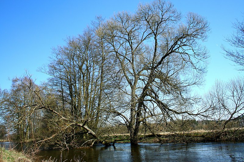 Nad rzeką