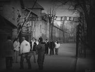 Arbeit Macht Frei