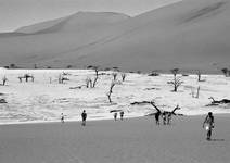 spacerkiem przez pustynię Namib...