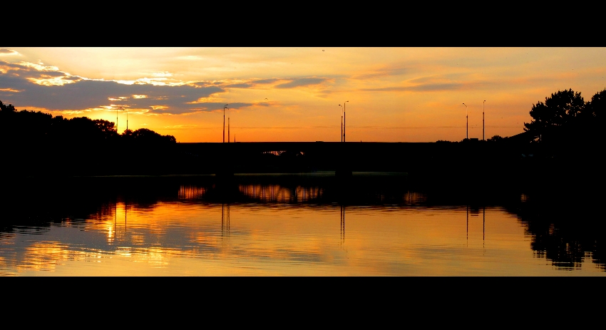 Waszawski w panoramie