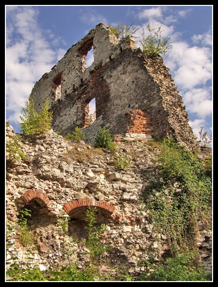 Zamek Tenczynskich..