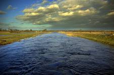 Narew