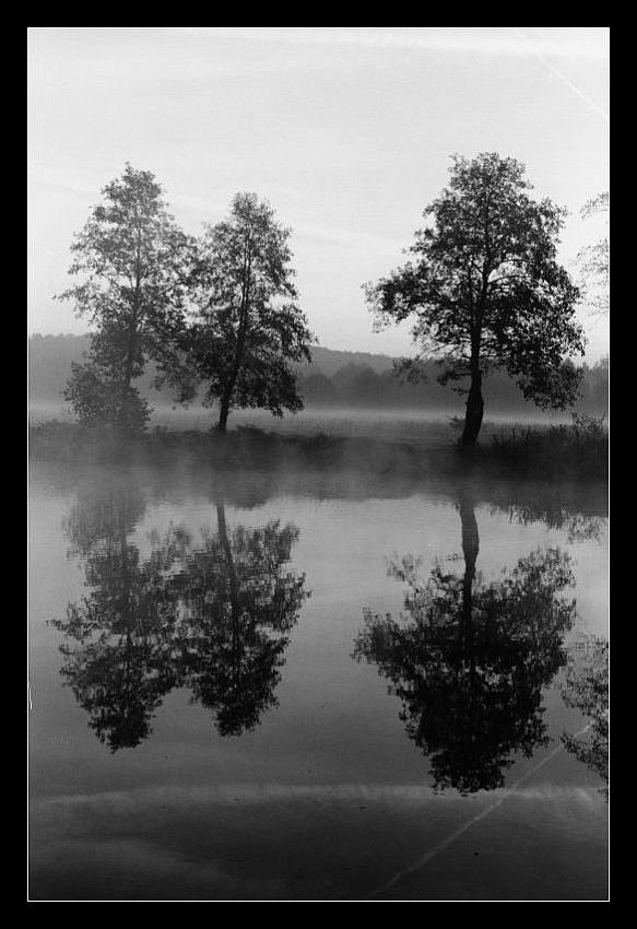 poranek nad rzeką II