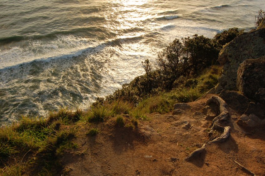 Piha