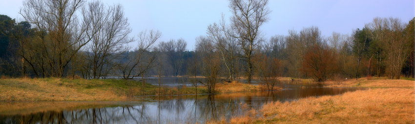 widoczek - okolice Poznania