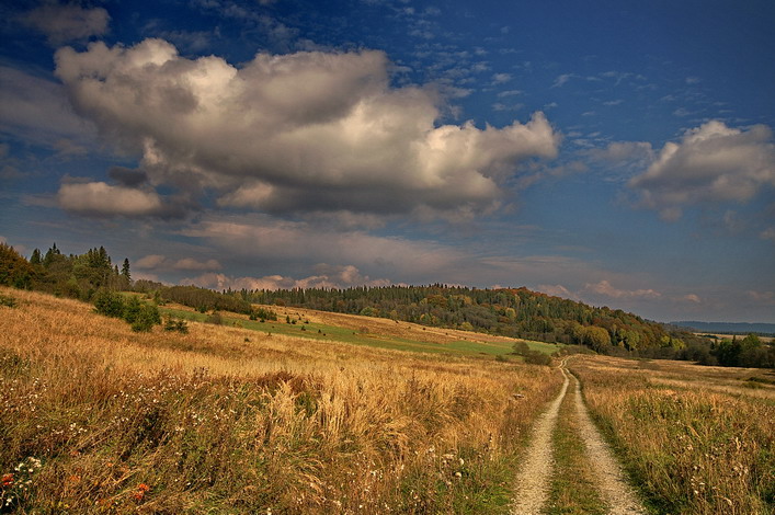 Ciągle w drodze.