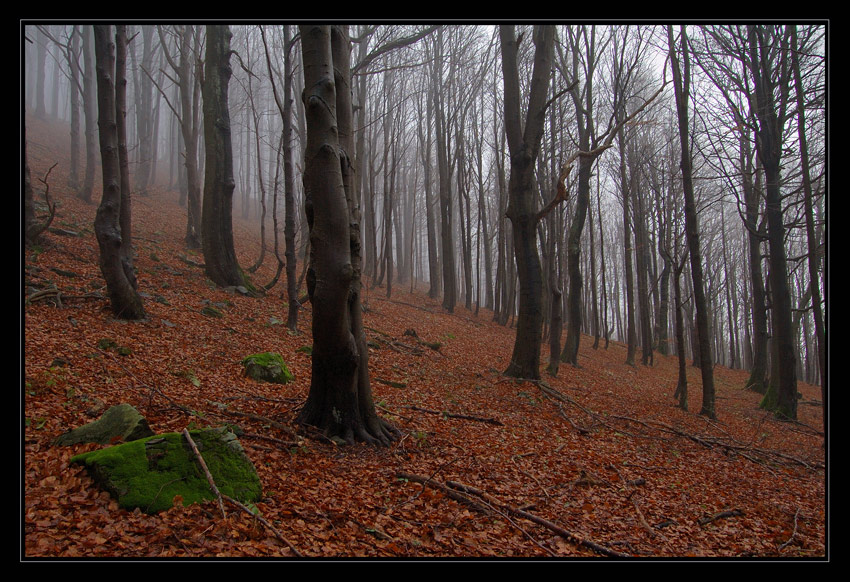 bieszczadzkie klimaty IV