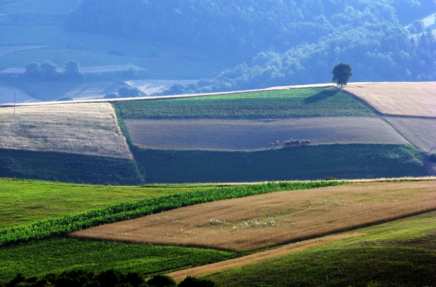 ostatni zbiór