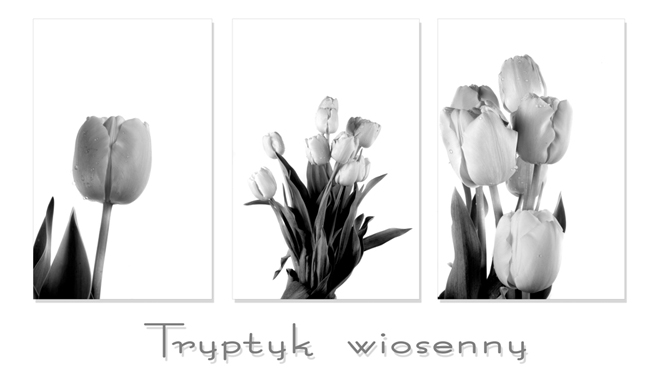 tryptyk  wiosenny