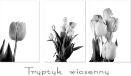 tryptyk  wiosenny