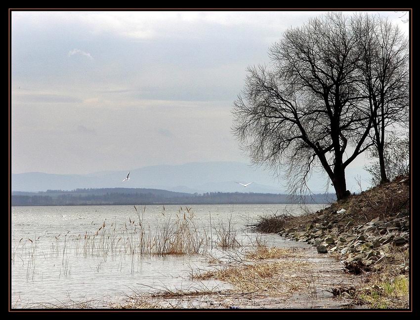 Nad Jeziorem Nyskim... - cz.I