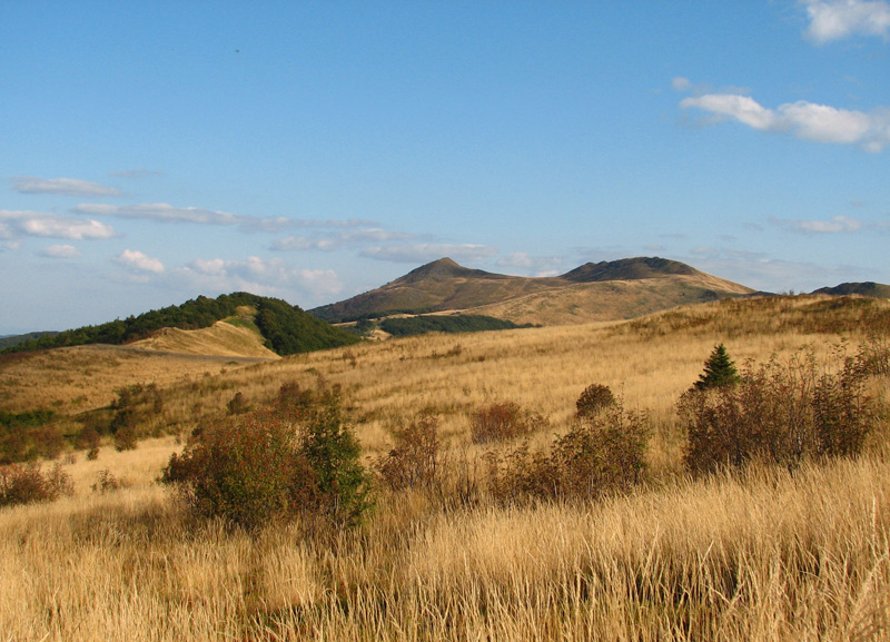 Połonina wrześniowa