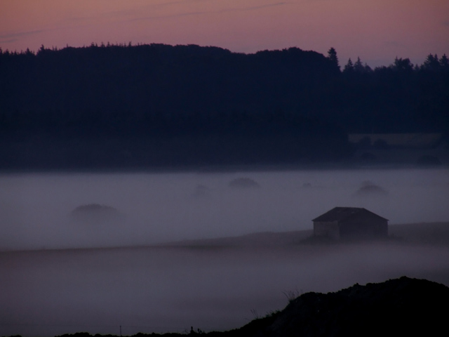 house in the fog