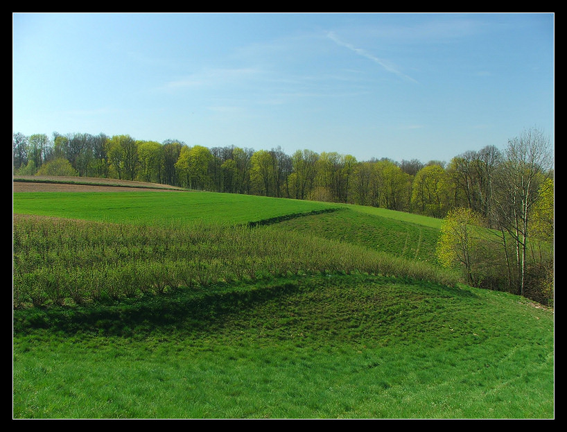 Wiosna w Zbędowicach