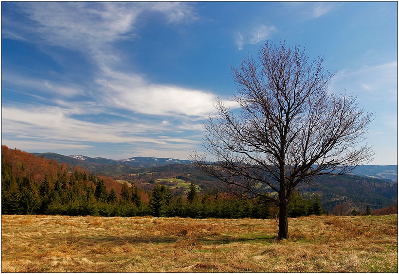 Beskid Śląski