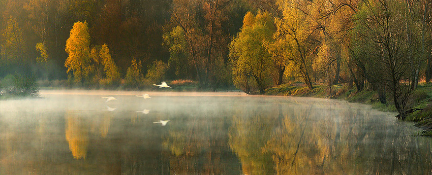 Stara Odra