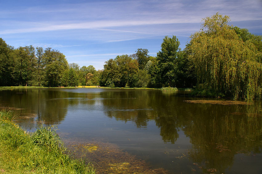 Staw w Kórniku