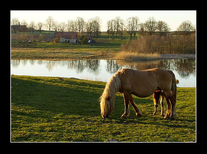 mazury