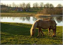 mazury