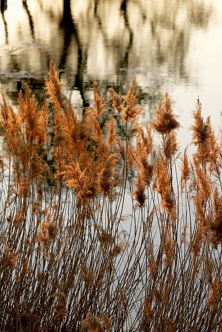 nad wodą