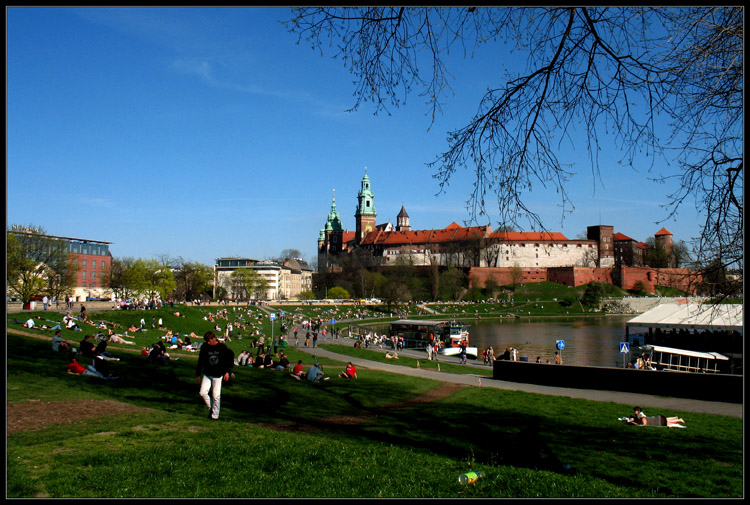 Krakowskie pingwinarium