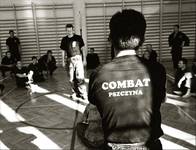 COMBAT/SYSTIEMA