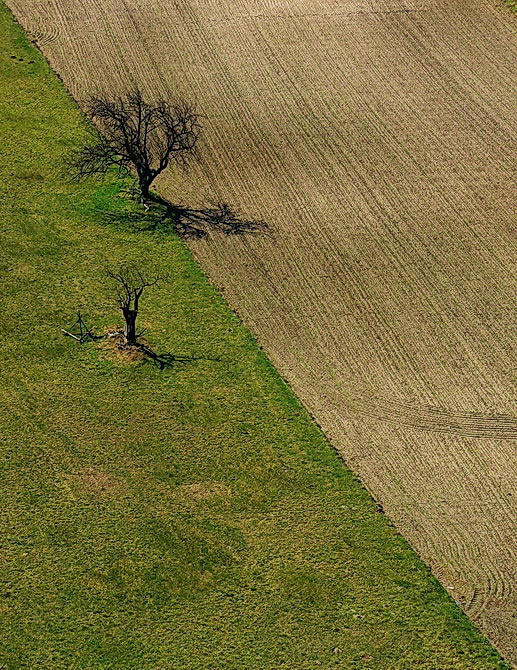 Trójkąty Dwa