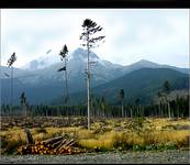 Słowackie Tatry