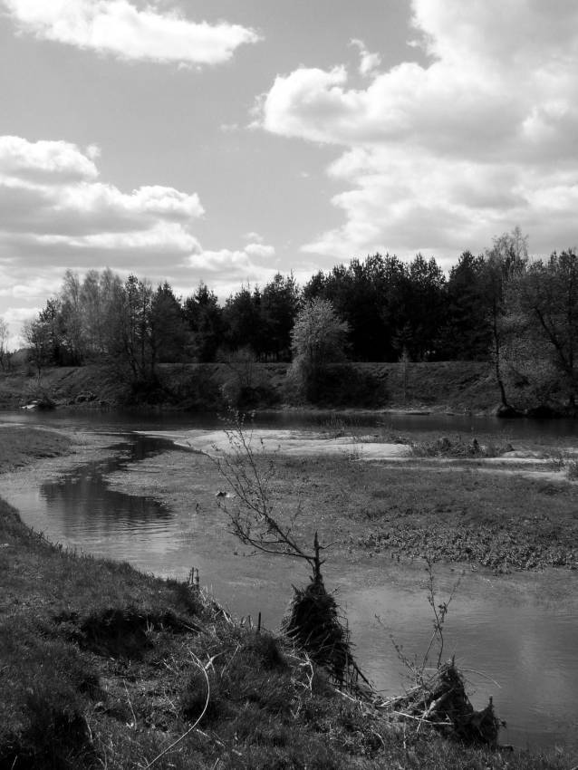 Nad rzeką