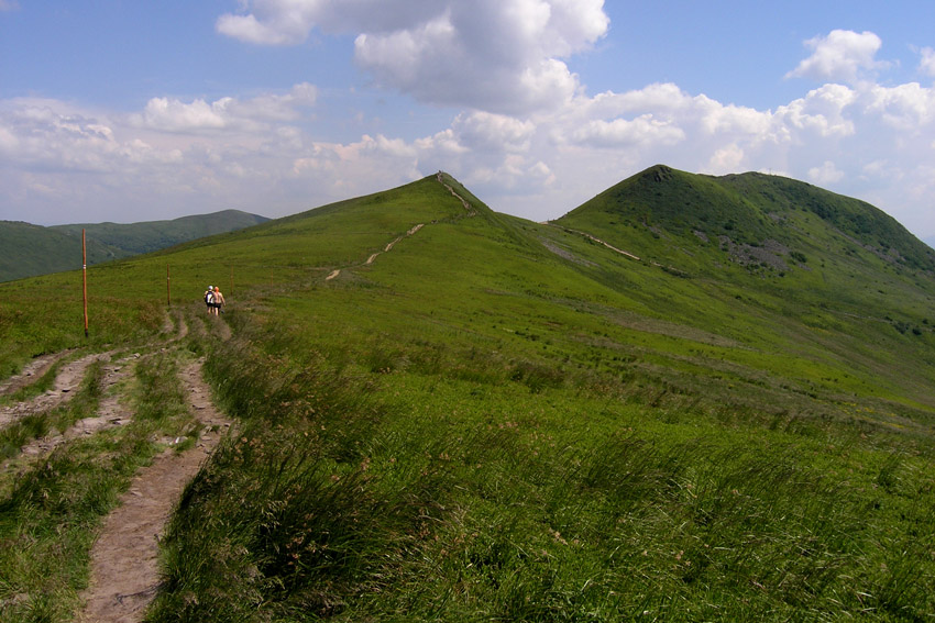 Tarnica