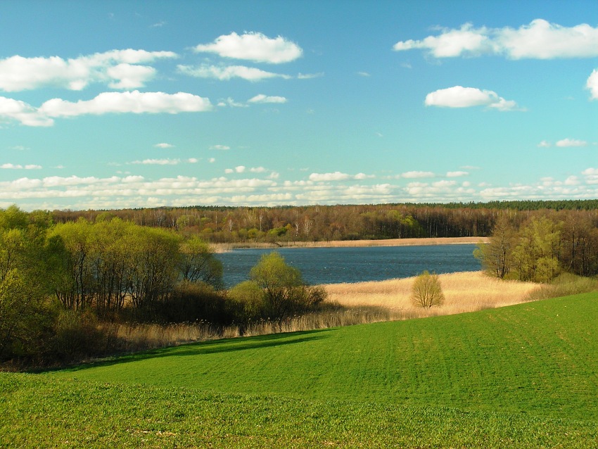 Garbate Mazury