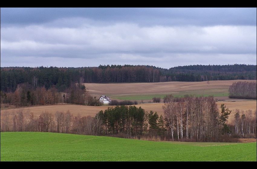 wśród pól i lasów(kwiecień)