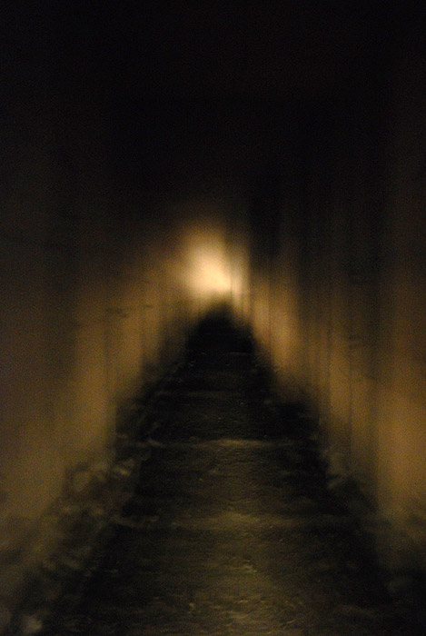 passage : follow the light