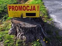 Promocja