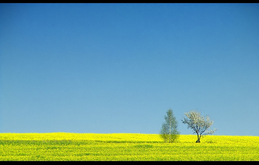 Wiosna na Śląsku cz. 2