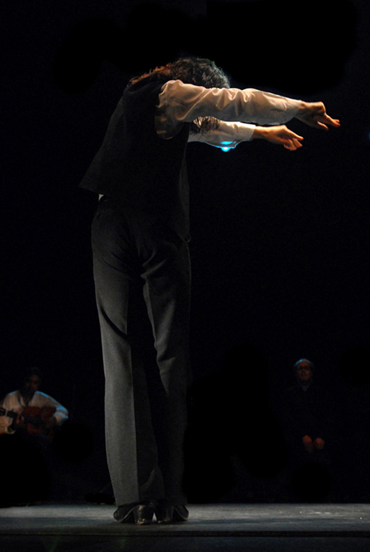 flamenco...2