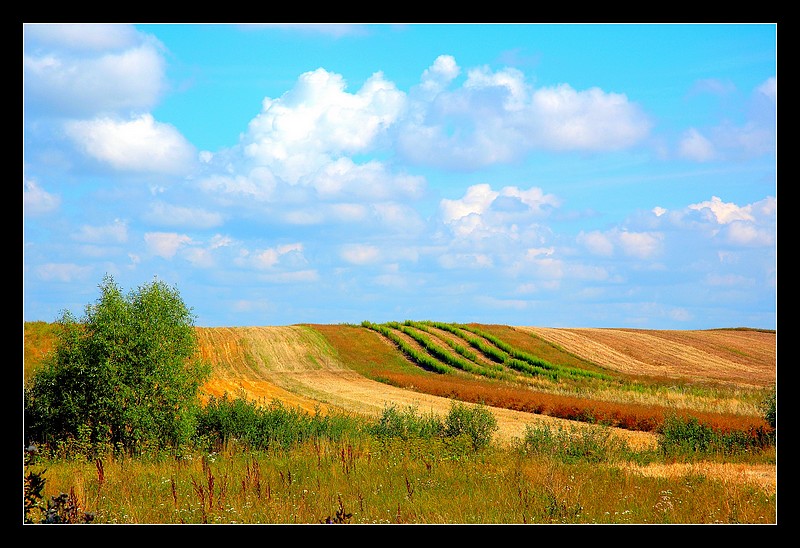 Podlasie