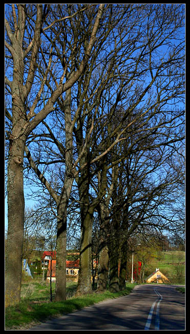 mazury