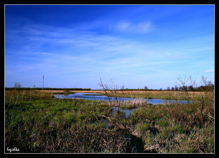 Kurowo - Narew