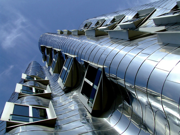 gehry i jego linie proste