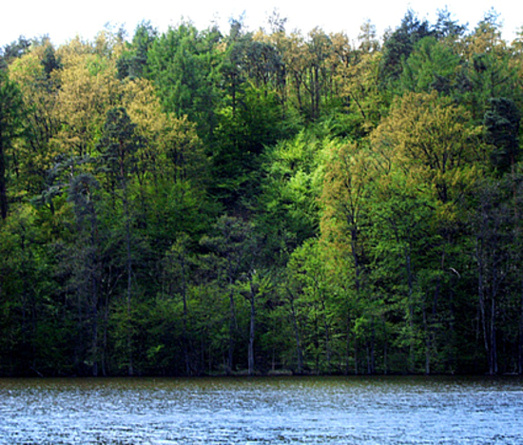 \"Żurawie Retno\" Brodnicki Park Krajobrazowy