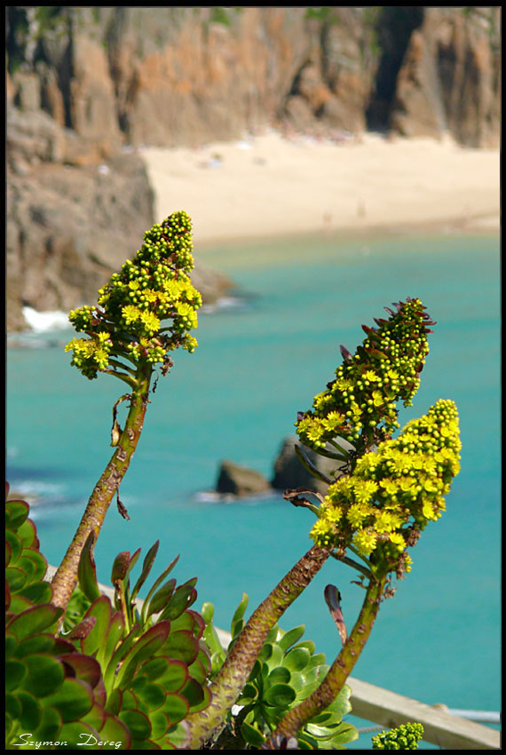 Minack Theatre - Porthcurno, Cornwall, UK