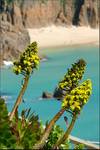 Minack Theatre - Porthcurno, Cornwall, UK