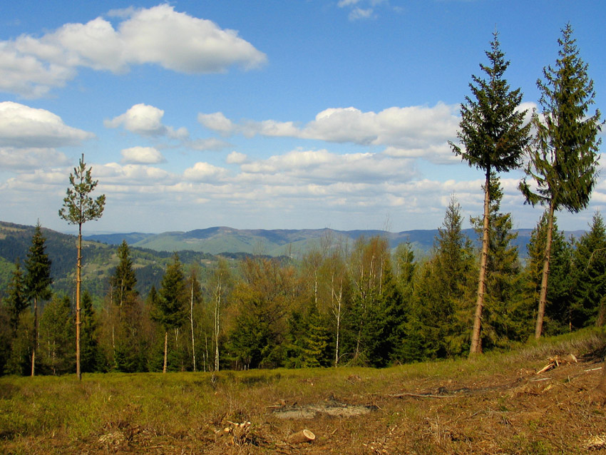 Majówka w Beskidach