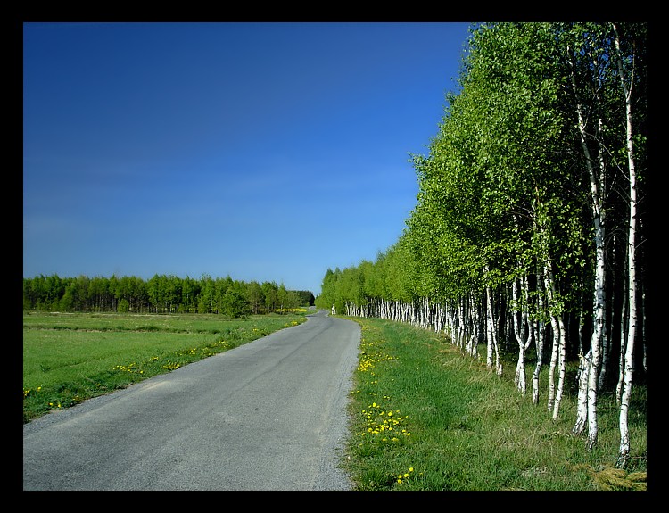 Wiosennie i optymistycznie