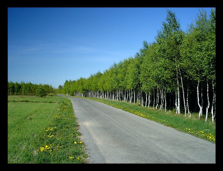 Wiosennie i pozytywnie cz.2