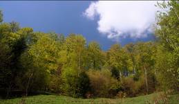 Beskid Sądecki