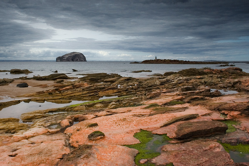 Bass Rock, Szkocja