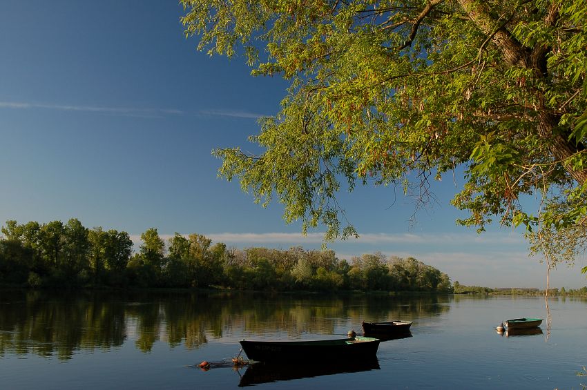 narew/czarnocin