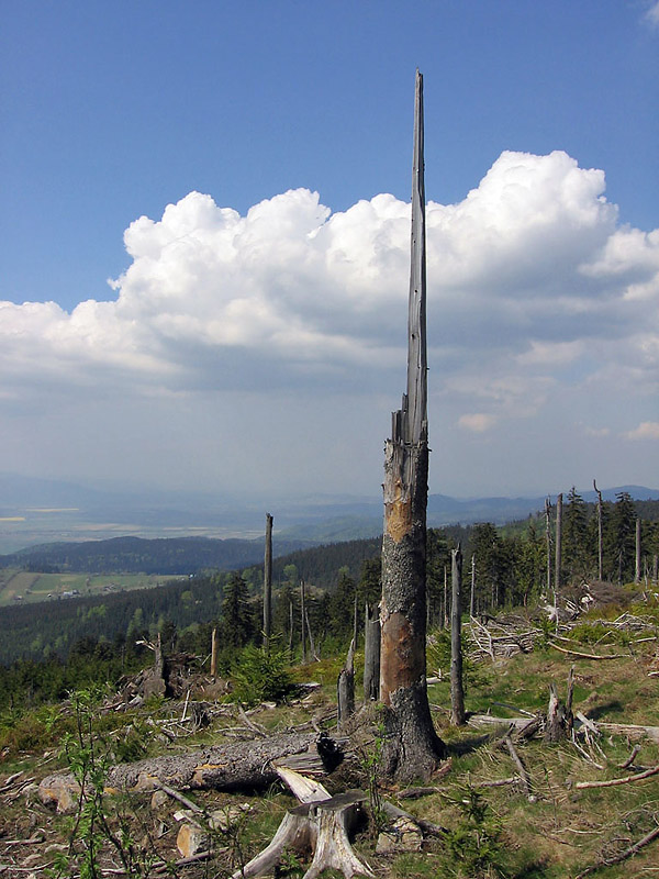 strzał w niebo...w Masywie Śnieżnika